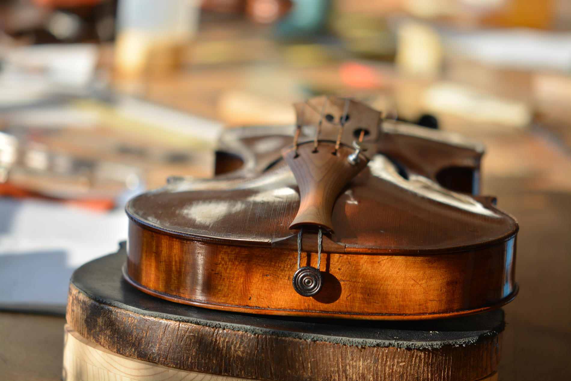 Saitenhalter aus Sonowood Fichte auf einer Amati Violine ausgerüstet von Wilhelm Geigenbau